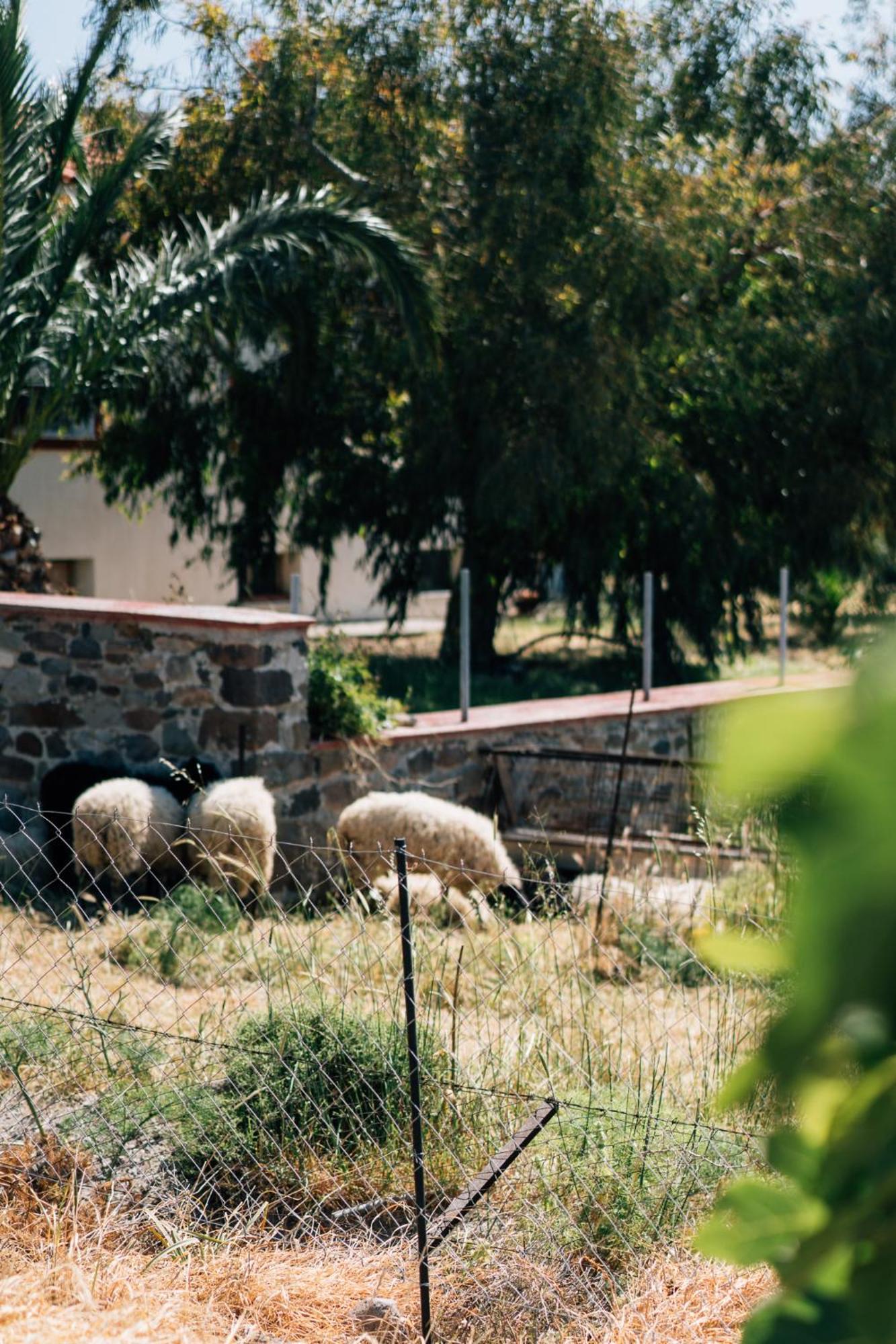 Apolithon Premium Houses Σιγρί Εξωτερικό φωτογραφία